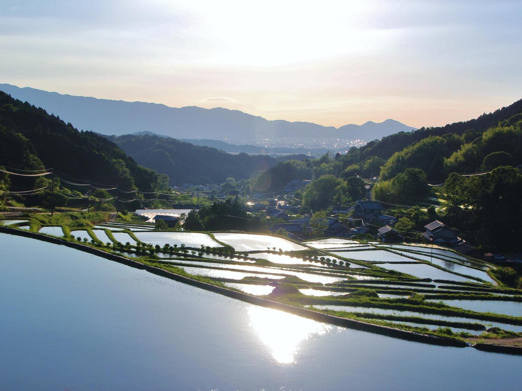 Grand Mercure Nara Kashihara Касіхара Екстер'єр фото