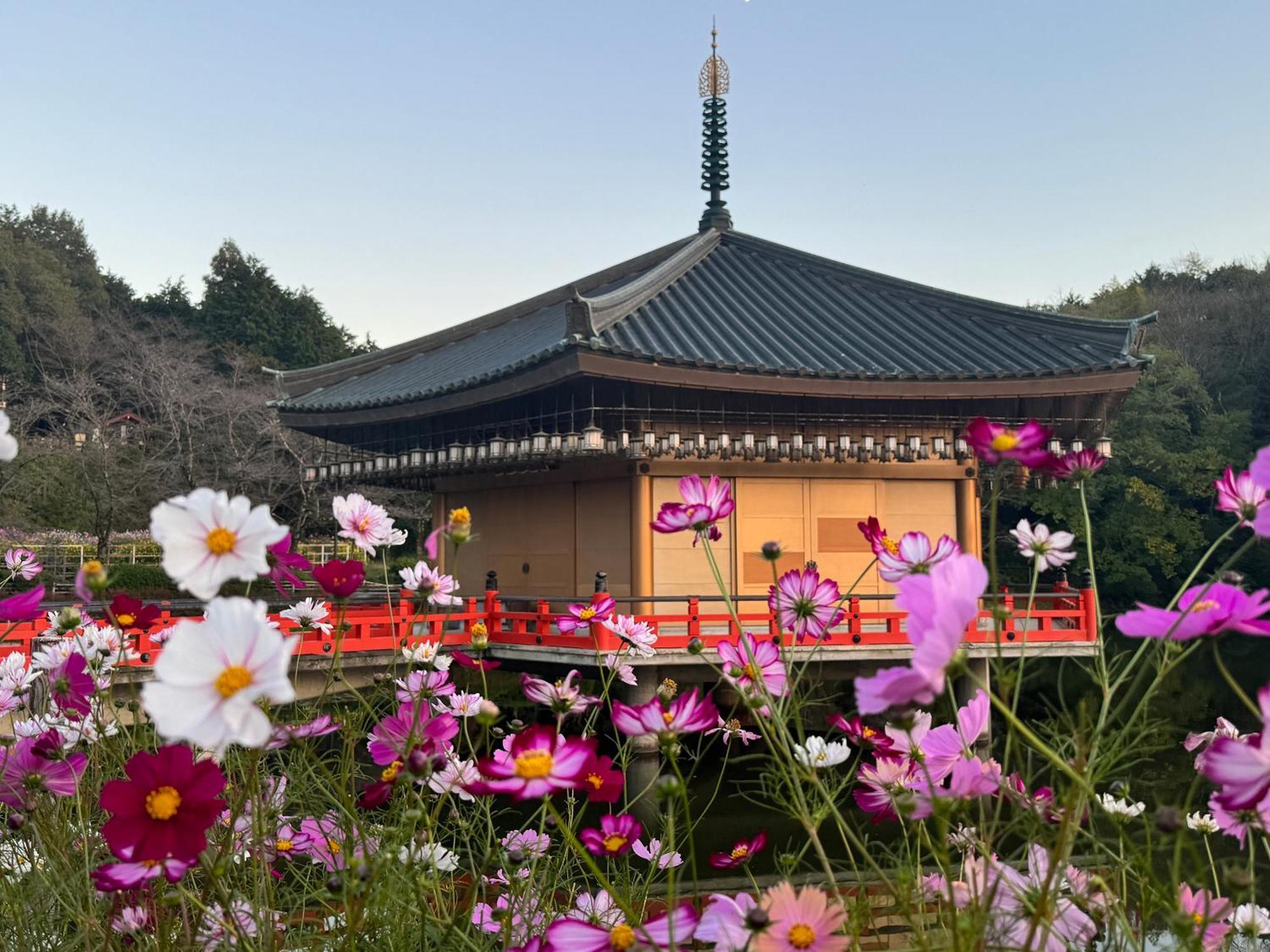 Grand Mercure Nara Kashihara Касіхара Екстер'єр фото