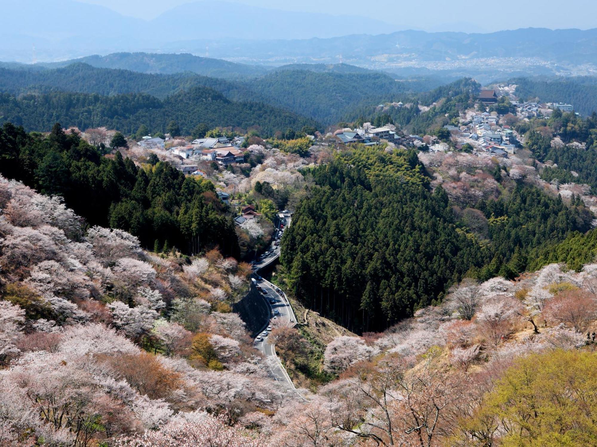 Grand Mercure Nara Kashihara Касіхара Екстер'єр фото
