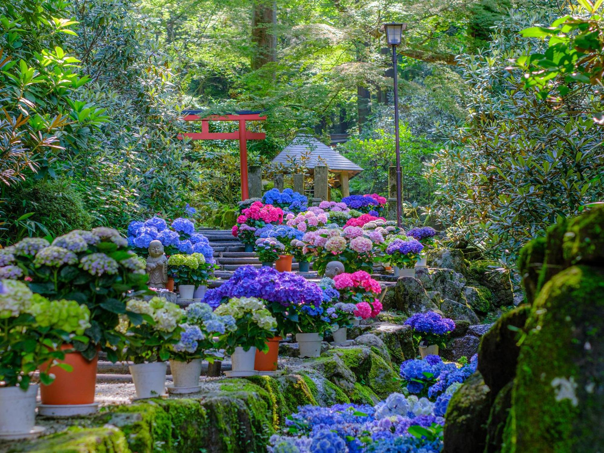 Grand Mercure Nara Kashihara Касіхара Екстер'єр фото