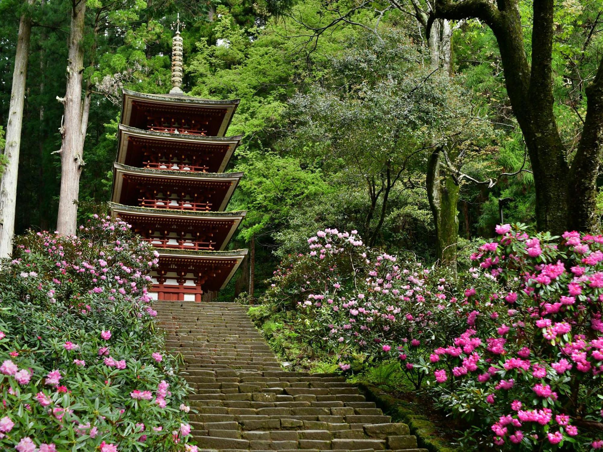 Grand Mercure Nara Kashihara Касіхара Екстер'єр фото